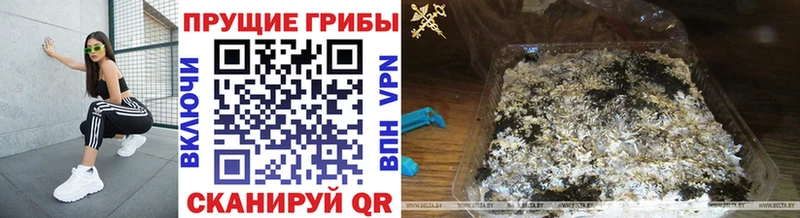 MEGA ссылки  Ирбит  Галлюциногенные грибы прущие грибы 